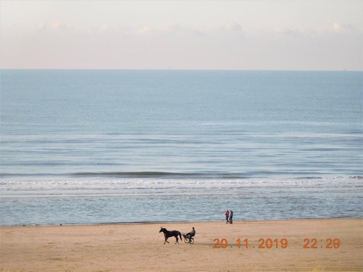 Strandhuis Egmond aan Zee Bagian luar foto